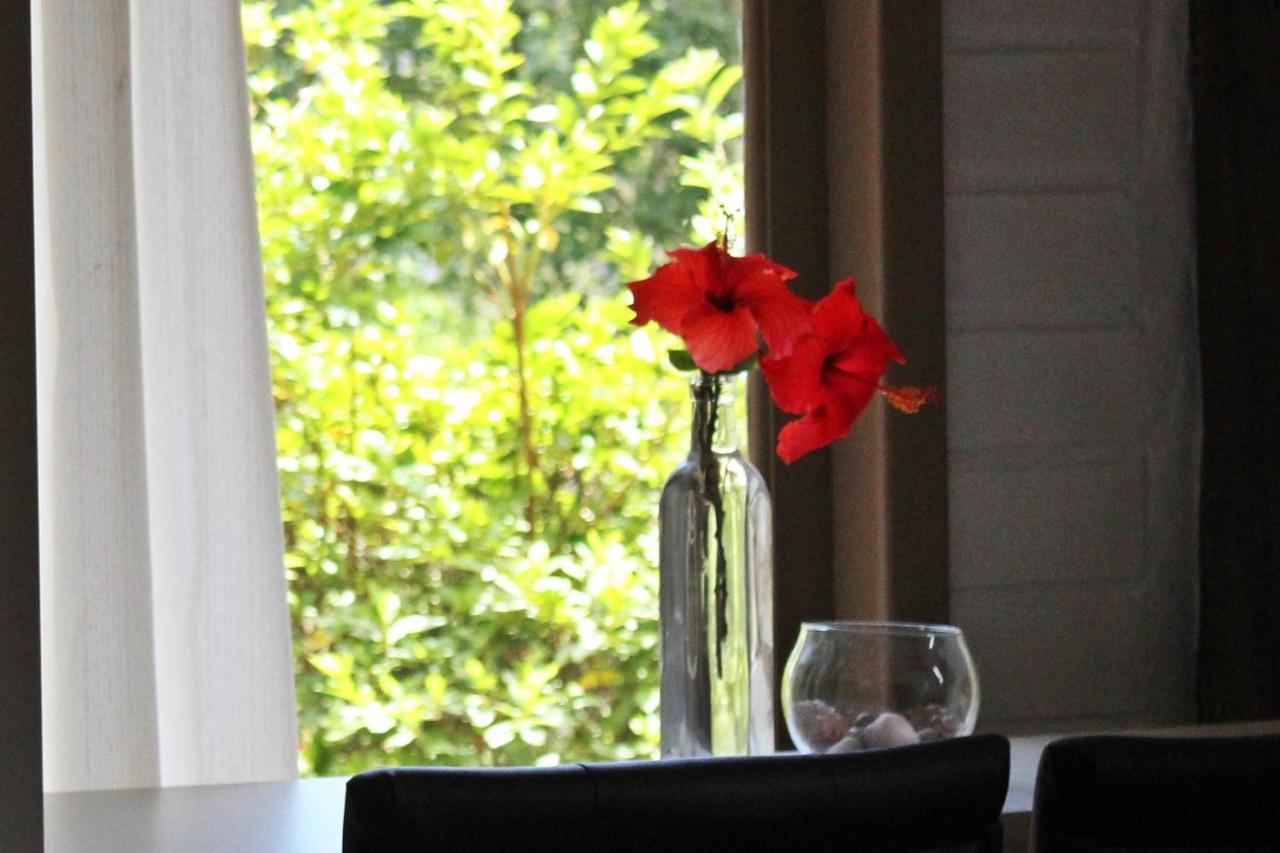 ホテルMorada Dos Hibiscos プライア・ド・ローザ エクステリア 写真