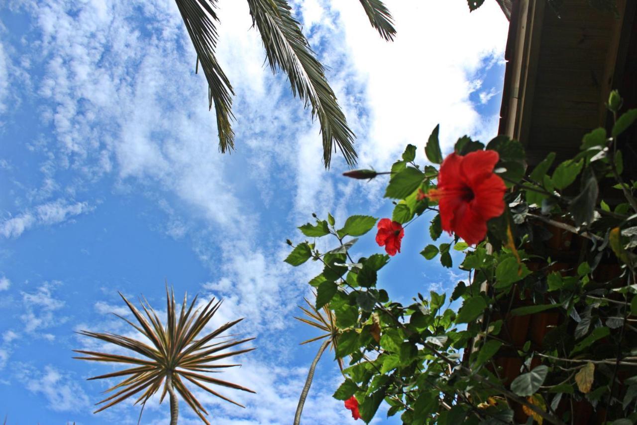 ホテルMorada Dos Hibiscos プライア・ド・ローザ エクステリア 写真